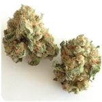 Шишки "White Widow"  (Белая вдова)  Гидропоника -  Бошка VHQ в Дыгулыбгее